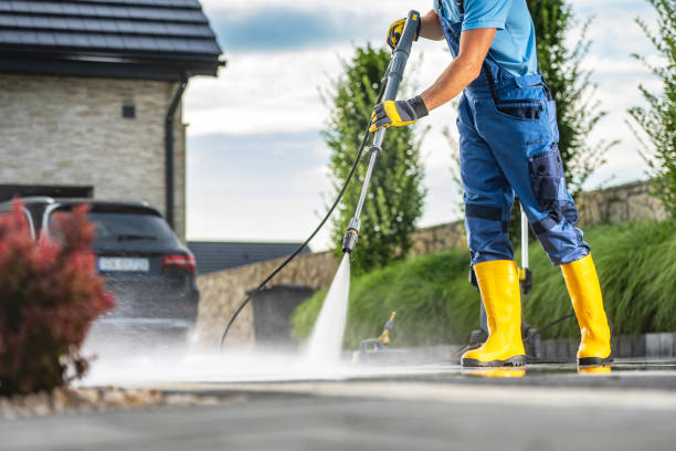 Best Solar Panel Cleaning  in Waymart, PA